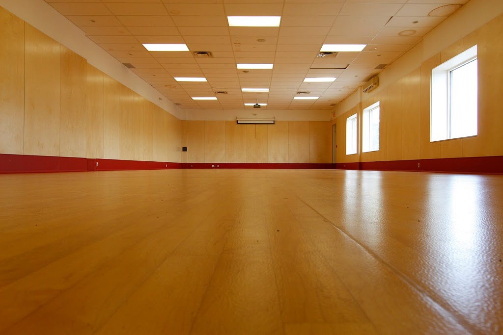 Dance School July Bénette | 145 Place Charles-Lemoyne, Sainte-Catherine, QC J5C 0A2, Canada | Phone: (514) 927-1035