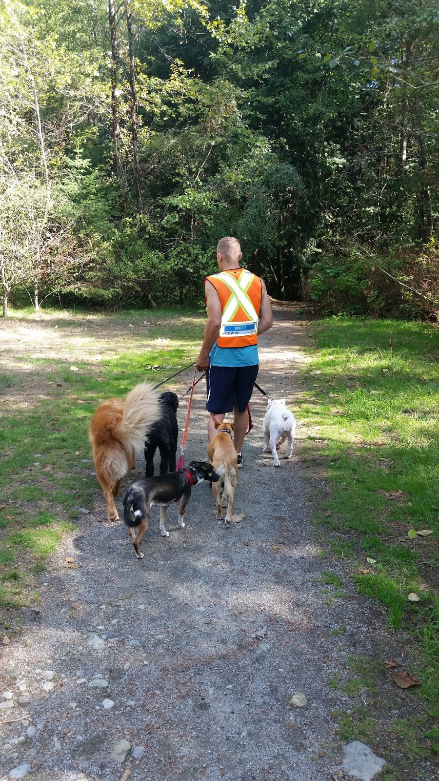 Dog Fit Dog Walking | 4564 Woodgreen Dr, West Vancouver, BC V7S 2V2, Canada | Phone: (778) 319-8432