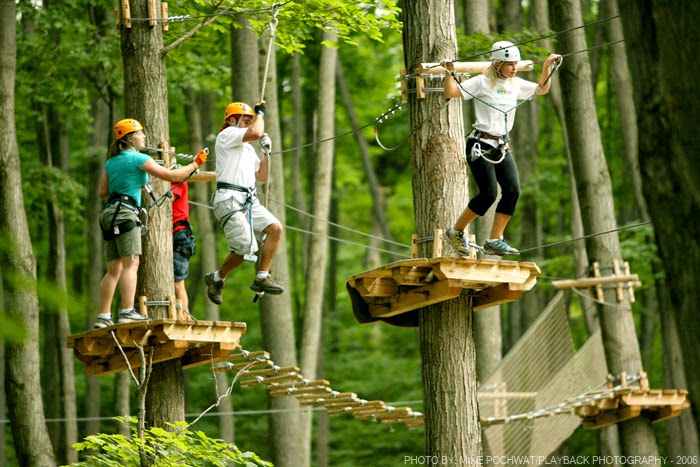 Treetop Trekking Barrie at Horseshoe Valley | 1101 Horseshoe Valley Rd. Comp 10 R.R. #1, Barrie, ON L4M 4Y8, Canada | Phone: (705) 835-7600