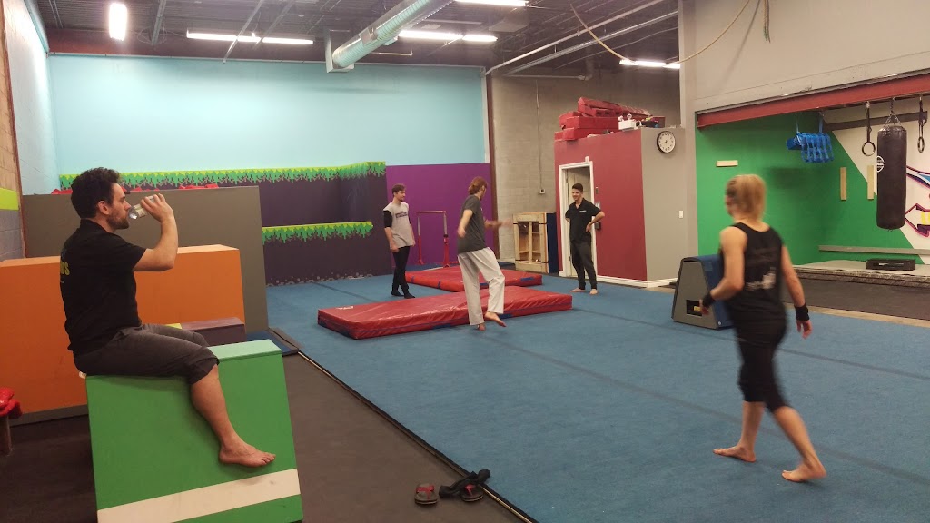 Playgrounds Movement Training Centre | 907 Frederick St #10, Kitchener, ON N2B 2B9, Canada | Phone: (226) 647-4449