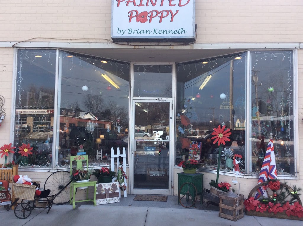 Painted Poppy | 6853 Erie Rd, Derby, NY 14047, USA | Phone: (716) 562-7316