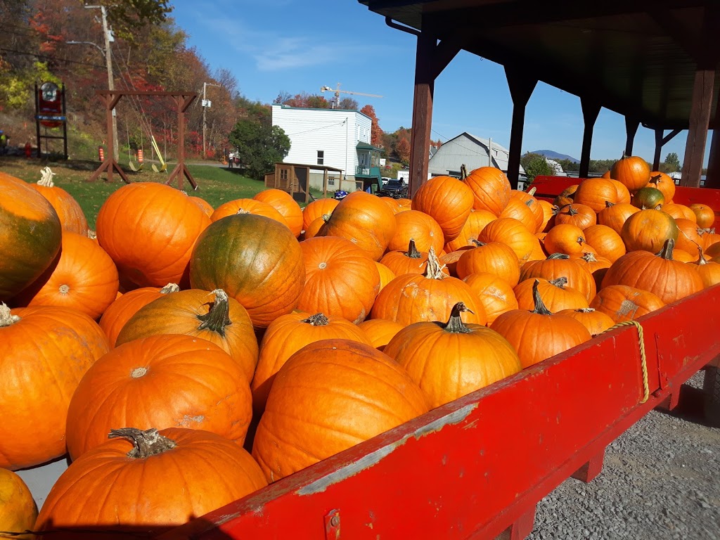 Les Jardins Du Petit Pré | 4 Rue du Petit-Pré, Château-Richer, QC G0A 1N0, Canada | Phone: (418) 824-4717