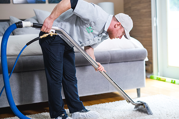 Dazzle Carpet Cleaning Inc. | 2822, Surrey, BC V4P 1J7, Canada | Phone: (604) 802-8500