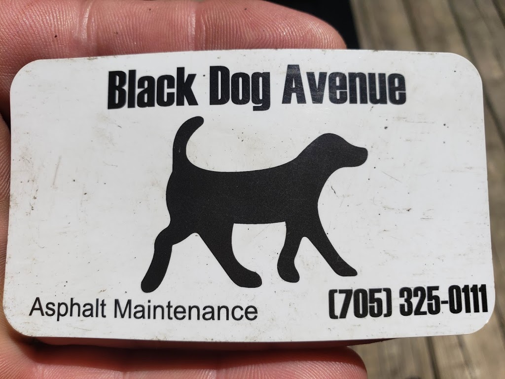 Black Dog Avenue | 1097 Carlyon Line, Orillia, ON L3V 6H4, Canada | Phone: (705) 325-0111