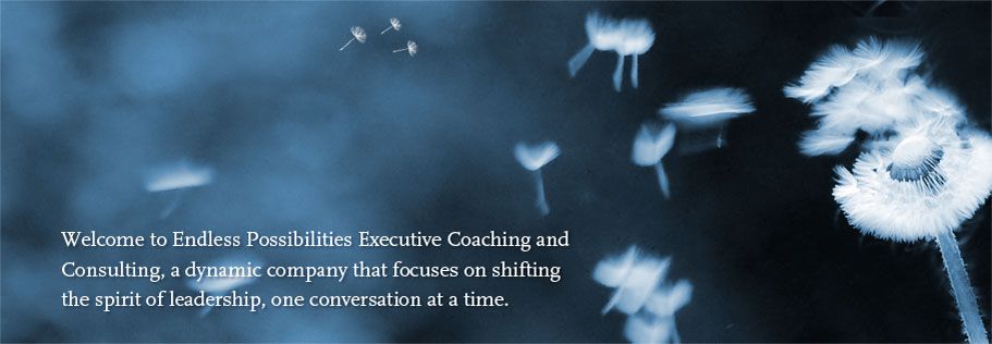 Endless Possibilities Executive Coaching | 22121 45a Ave, Langley, BC V2Z 1B5, Canada | Phone: (778) 242-8642