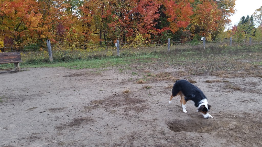 Harmony Valley Conservation Area & Off-Leash Dog Park | 915 Grandview St N, Oshawa, ON L1K 2J9, Canada | Phone: (905) 436-3311