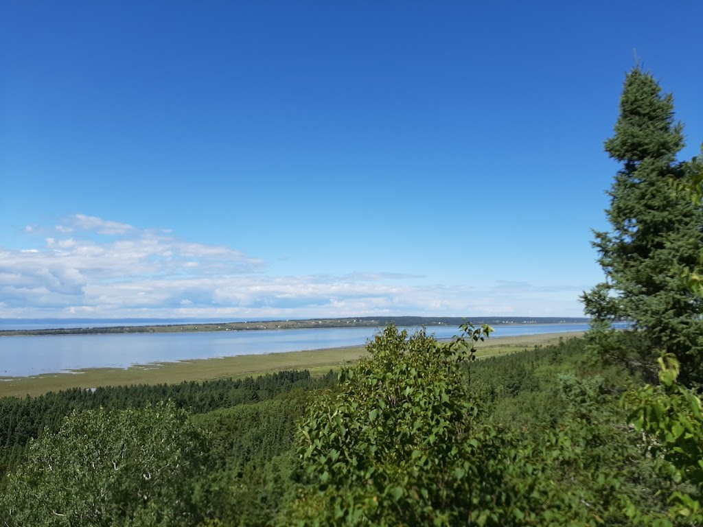 Parc côtier Kiskotuk, secteur des passereaux | 200 Chem. de la Rivière des Vases, Cacouna, QC G0L 1G0, Canada | Phone: (418) 863-3683