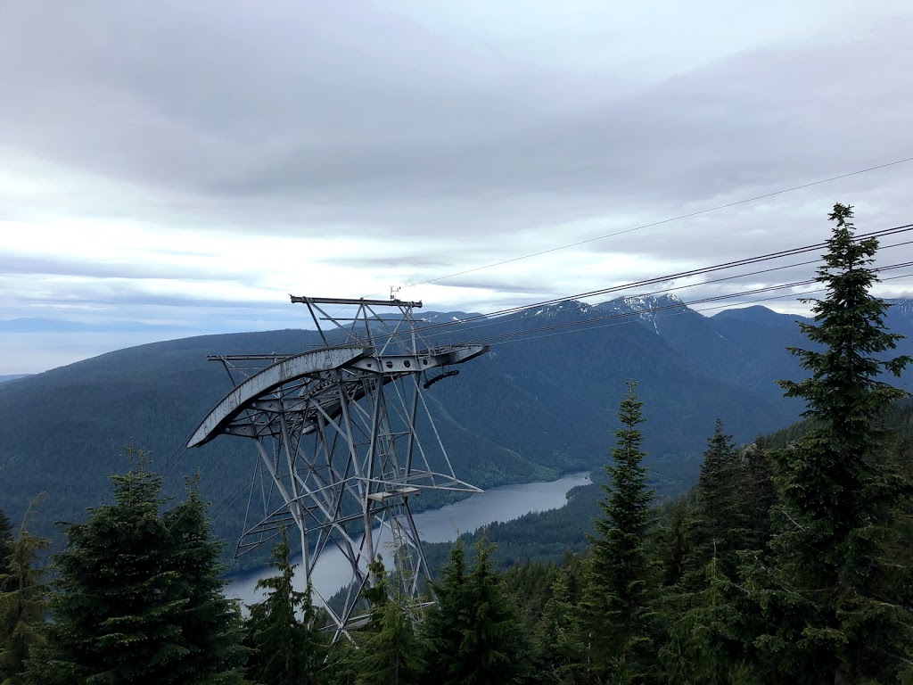 Grouse Grind Trail | 6400 Nancy Greene Way, North Vancouver, BC V7R 4K9, Canada | Phone: (604) 224-5739