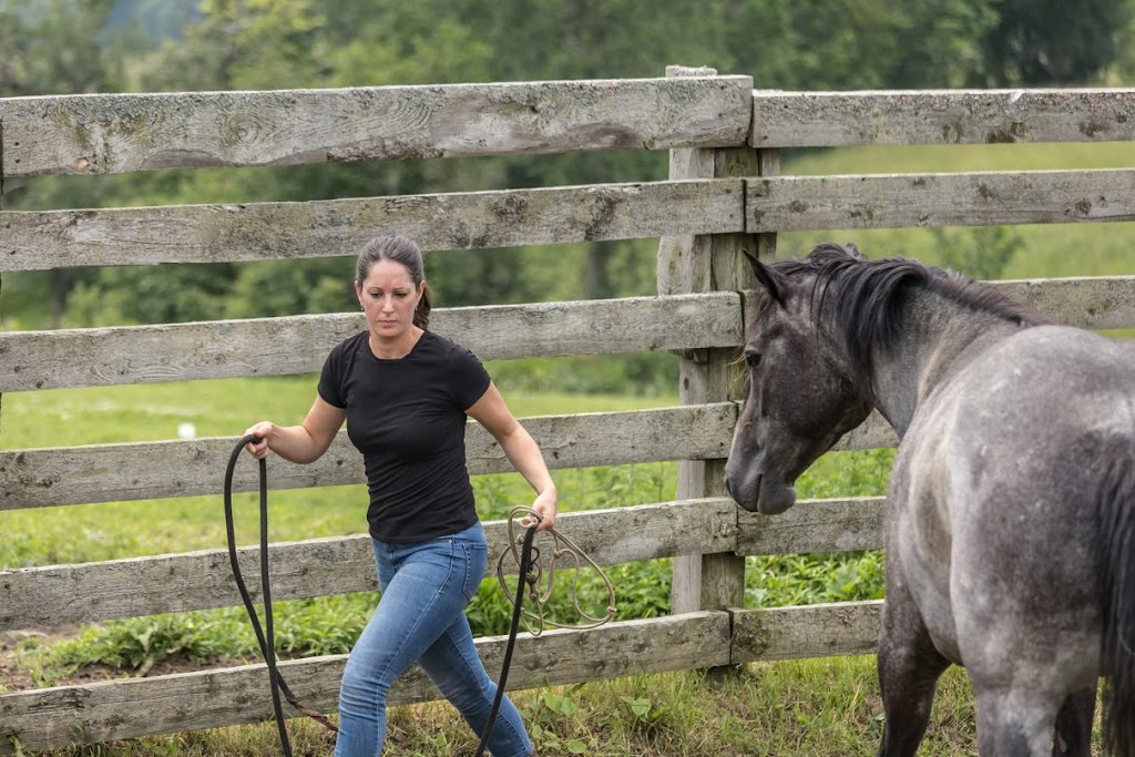 Ranch des sabots et des ailes | 800 Chem. de la Station, Saint-Boniface, QC G0X 2L0, Canada | Phone: (819) 698-9863