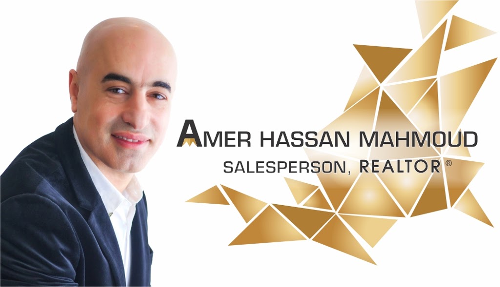 Amer Hassan Mahmoud | Cooks Mill Cres, Ottawa, ON K1V 2N2, Canada | Phone: (819) 230-6824