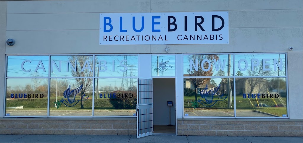 BlueBird Cannabis Co Merivale & Hunt Club | 3 Roydon Pl, Nepean, ON K2E 1A3, Canada | Phone: (613) 695-2583