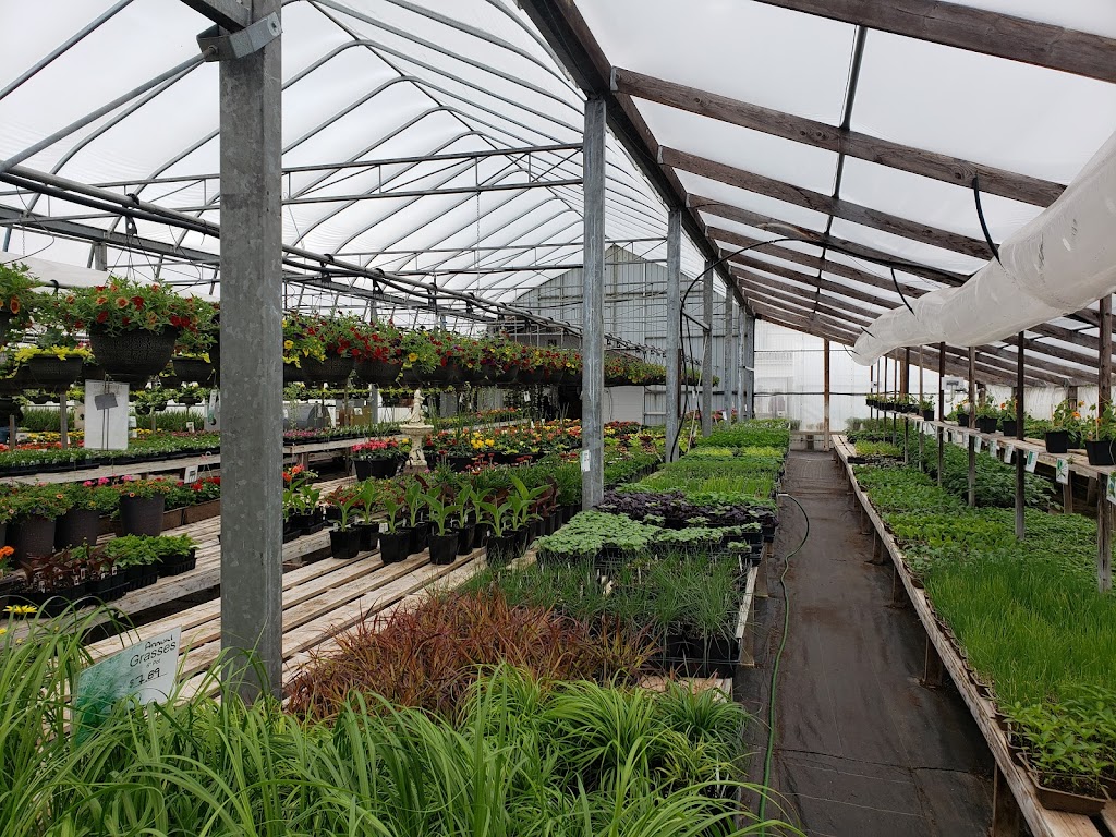 York Greenhouses & Garden Centre | 618 RTE 25, York, PE C0A 1P0, Canada | Phone: (902) 566-1503