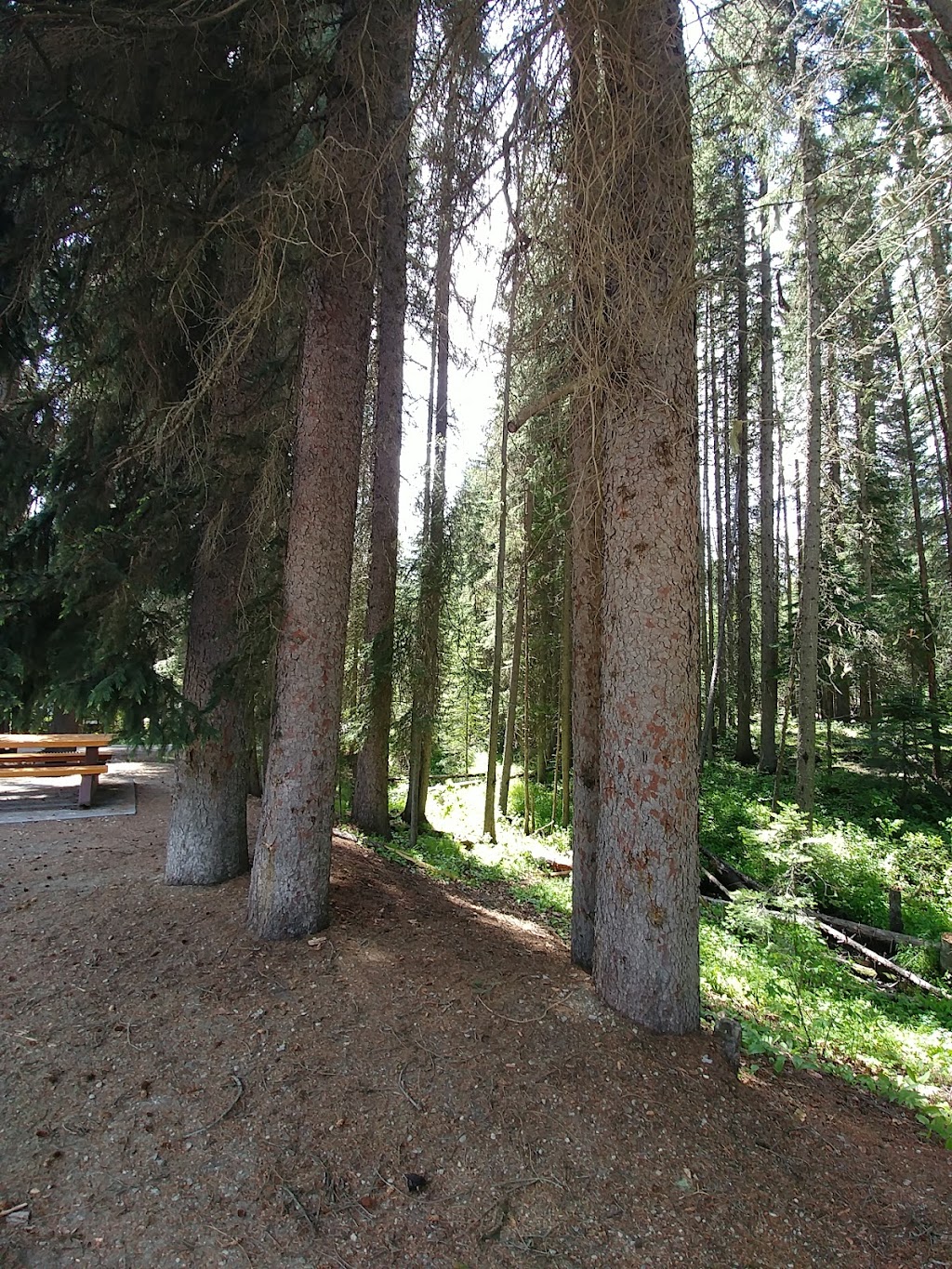 Nancy Greene Provincial Park Campground | 3 Crowsnest Hwy, Robson, BC V0G 1X0, Canada | Phone: (250) 584-9025