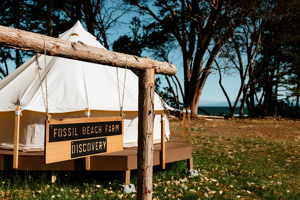 Fossil Beach Farm | 750 Savoie Rd, Hornby Island, BC V0R 1Z0, Canada | Phone: (778) 677-1034