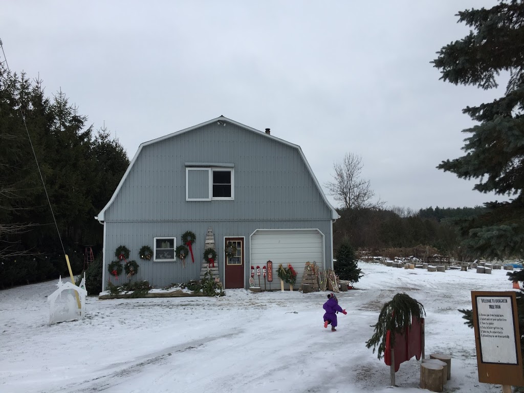 Evergreen Tree Farm | 7811 Wellington 22, Guelph, ON N1H 6J2, Canada | Phone: (519) 767-2496