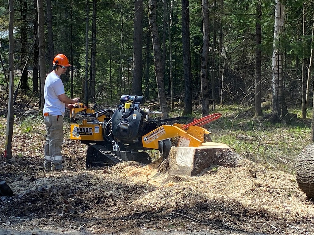 Stumpin’ Tom’s Stump Grinding | 1012 Wonderland Rd, Haliburton, ON K0M 1S0, Canada | Phone: (705) 455-2838