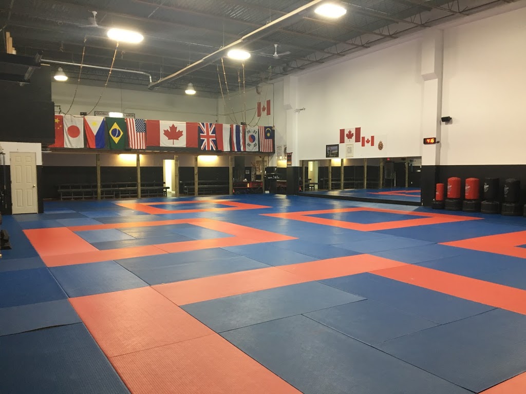 Global Martial Arts Academy | 1200 Stone Church Rd E, Hamilton, ON L8W 2C7, Canada | Phone: (905) 389-2222