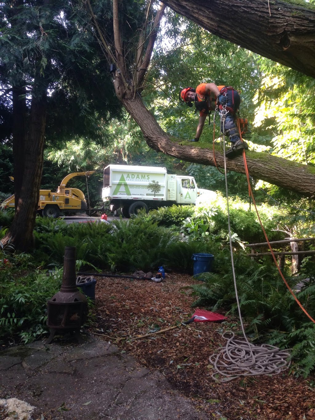 Adams Tree Service | 4701 Cardsview Terrace, Victoria, BC V9C 4E9, Canada | Phone: (250) 516-8315