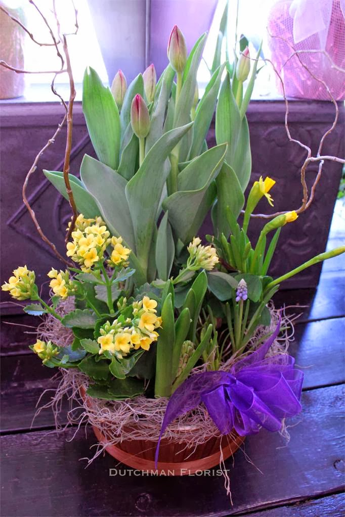 Dutchman Florist | 218 Barton St, Stoney Creek, ON L8E 2K2, Canada | Phone: (905) 662-3341