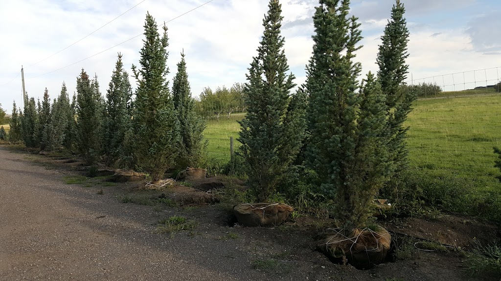 TruEarth Trees | 274129 48 St W, Foothills County, AB T1S 3S8, Canada | Phone: (403) 714-9107