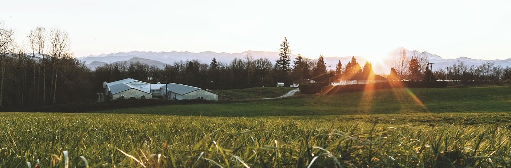 Rossdown Farms & Natural Foods | 2325 Bradner Rd, Abbotsford, BC V4X 1E2, Canada | Phone: (604) 856-6698