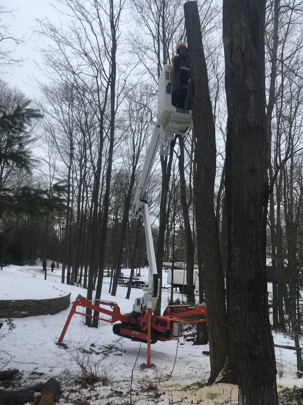 Wallace Tree Service | 319896 Kemble Rock Rd, Kemble, ON N0H 1S0, Canada | Phone: (519) 371-7632