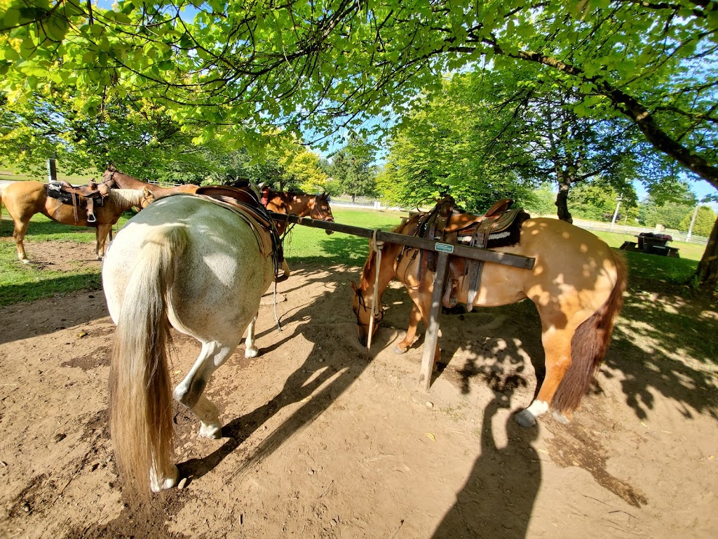 Campbell Downs Equestrian Centre | 1255 208 St, Langley, BC V2Z 1T4, Canada | Phone: (604) 530-4983