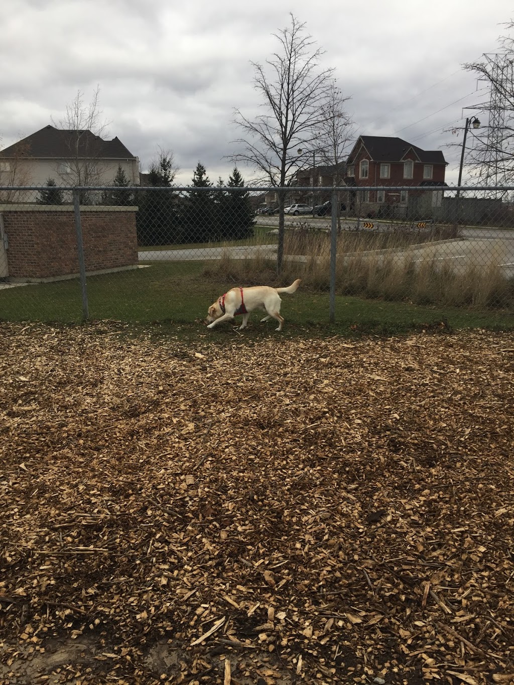 Norton Leash Free Dog Park | 4613-, 4621 Cornerstone Dr, Burlington, ON L7R 3X4, Canada