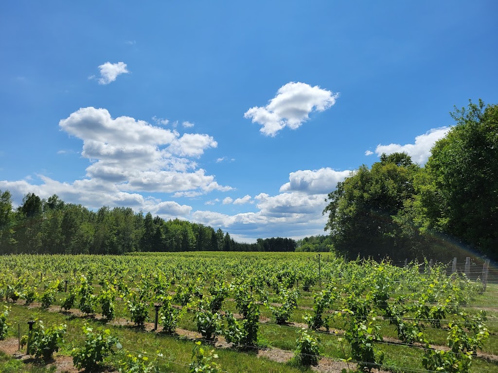 Vignoble Côte De Vaudreuil | 2692 Rte Harwood, Vaudreuil-Dorion, QC J7V 8P2, Canada | Phone: (450) 424-1660