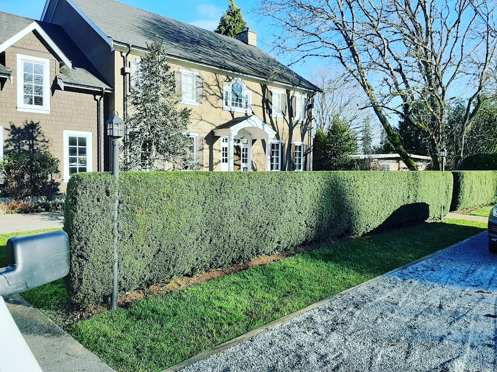 JF Hedge Trimming LTD. | 4033 240 St, Langley, BC V2Z 2L4, Canada | Phone: (778) 241-0416