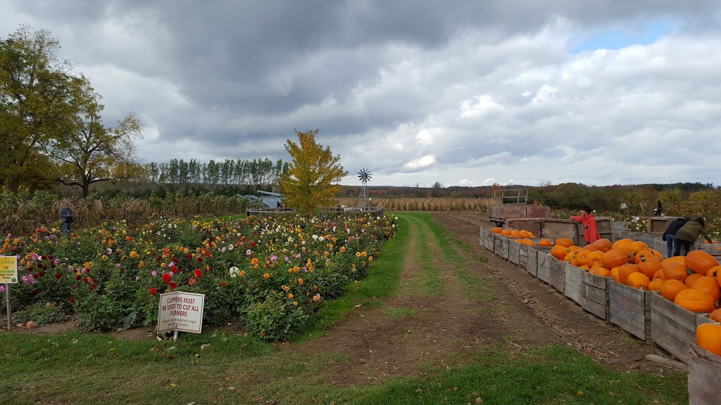Andrews’ Scenic Acres & Scotch Block Winery | 9365 10 Side Rd, Milton, ON L9T 2X9, Canada | Phone: (905) 878-5807