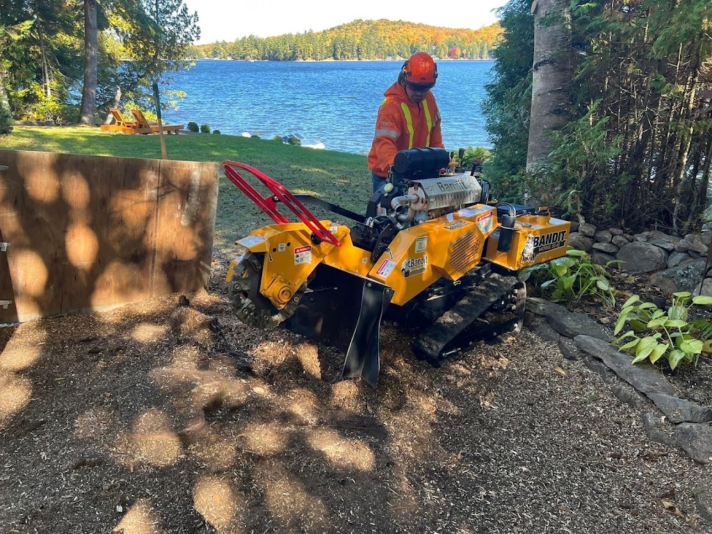 Stumpin’ Tom’s Stump Grinding | 1012 Wonderland Rd, Haliburton, ON K0M 1S0, Canada | Phone: (705) 455-2838