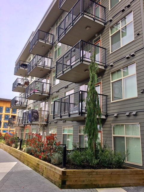 The Meridian Apartments | 5363 201 St, Langley, BC V3A 1P5, Canada | Phone: (604) 409-8272