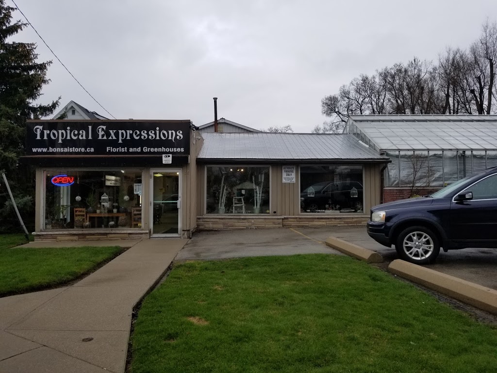 Tropical Expressions | 22 E 25th St, Hamilton, ON L8V 3A1, Canada | Phone: (905) 387-3330