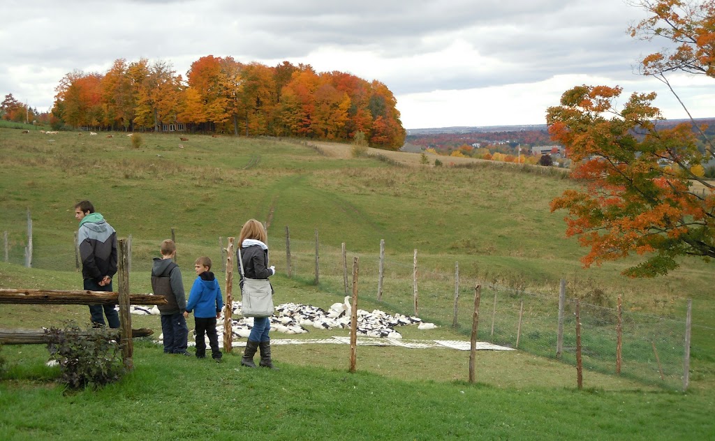 Verger Canard Goûteux | 49 Route 116 Est, Warwick, QC J0A 1M0, Canada | Phone: (819) 960-4783