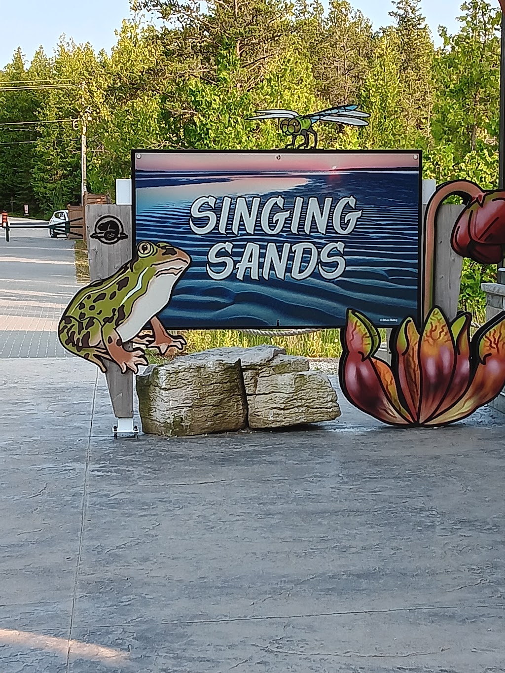 Singing Sands Beach | Singing Sands Interpretive Trail, Tobermory, ON N0H 2R0, Canada | Phone: (519) 596-2233