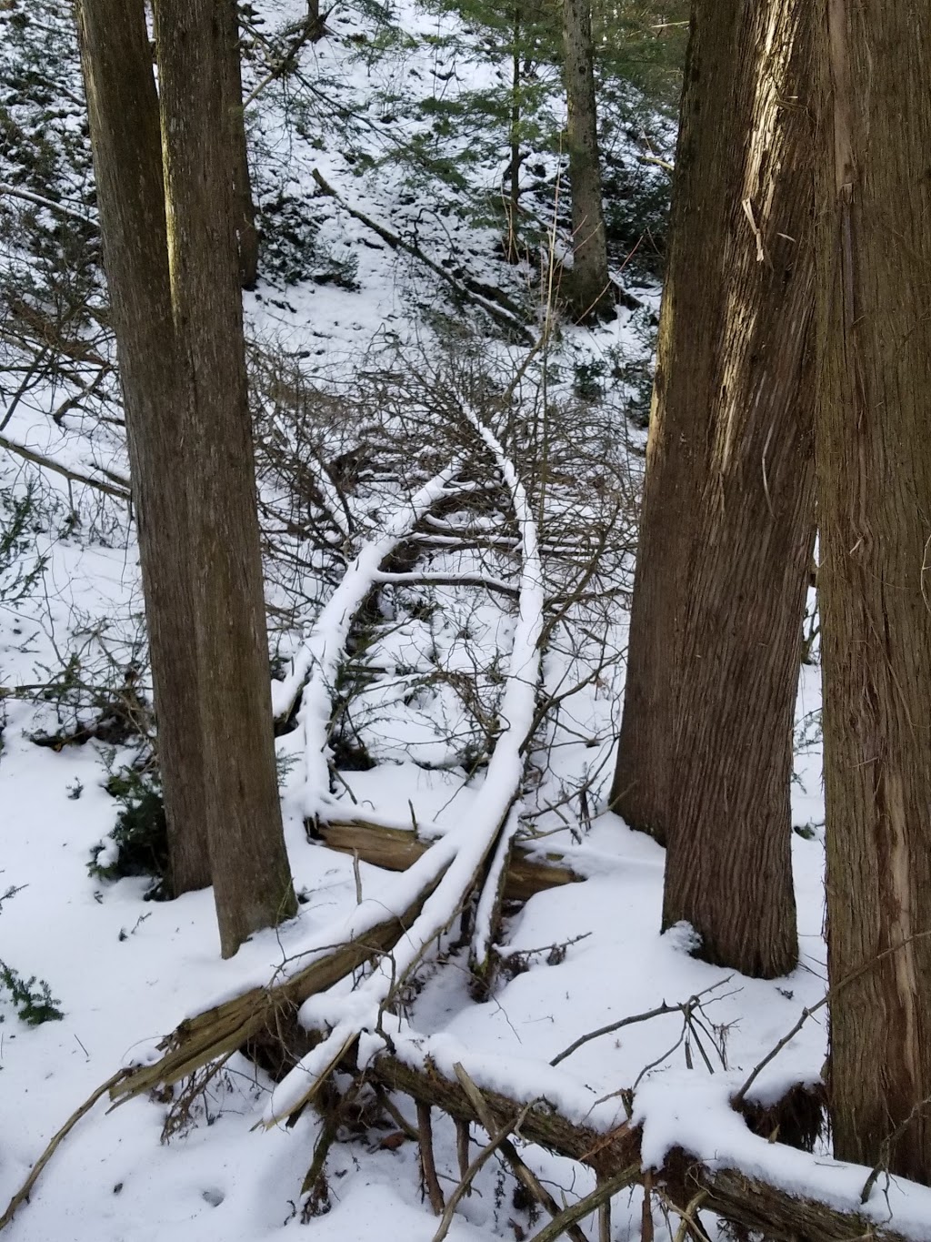 Seaton Trail | Seaton Hiking Trail, Pickering, ON L0H, Canada