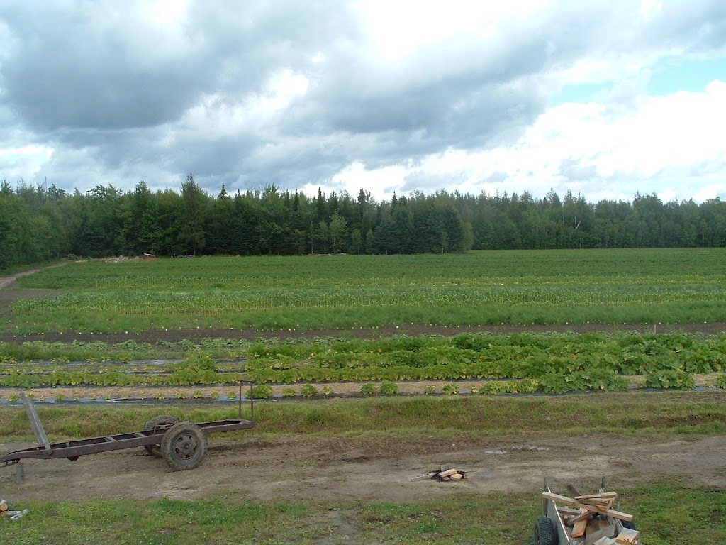 Les Jardinets de la Paysanne | 100 Rang des Chênes, Saint-Samuel, QC G0Z 1G0, Canada | Phone: (819) 358-0345