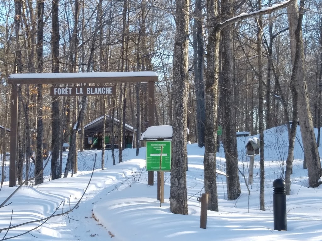 La Forêt Blanche Ecological Reserve | 300 Chemin Saddler, Mayo, QC J8L 4L8, Canada | Phone: (819) 281-6700