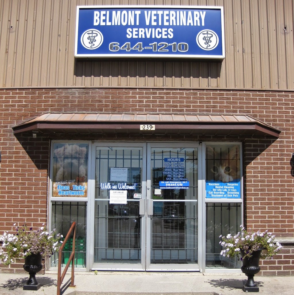 Belmont Veterinary Services | 14128 Belmont Rd, Malahide, ON N0L, Canada | Phone: (519) 644-1210