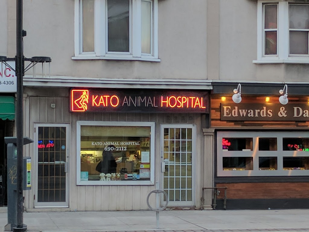 Kato Animal Hospital | 2830 Danforth Ave, Toronto, ON M4C 1M1, Canada | Phone: (416) 690-2112