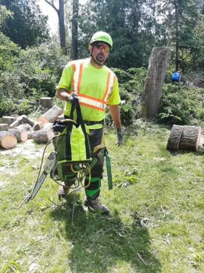 Tantons Tree Services | 96 Brook St, Tara, ON N0H 2N0, Canada | Phone: (519) 386-3577