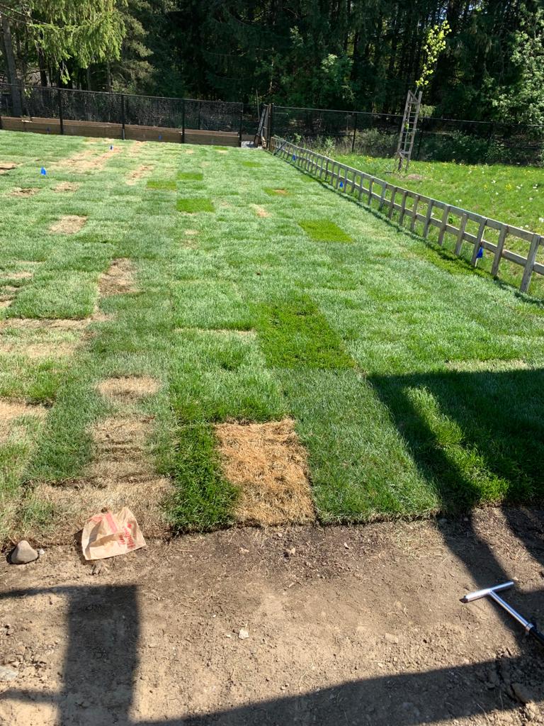 Fairgreen Sod Farms Ltd | 10378 ON-48, Markham, ON L3P 3J3, Canada | Phone: (905) 640-9090