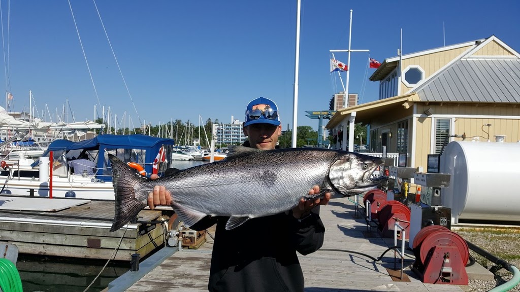 Bite Me Too Sportfishing | Bronte Outer Harbour, 2340 Ontario St, Oakville, ON L6L 6P7, Canada | Phone: (416) 459-5333