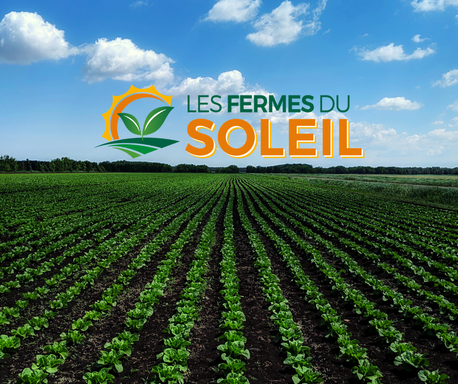 Les Fermes du Soleil Inc. | 800 2e Rang, Sainte-Clotilde-de-Châteauguay, QC J0L 1W0, Canada | Phone: (450) 826-3401