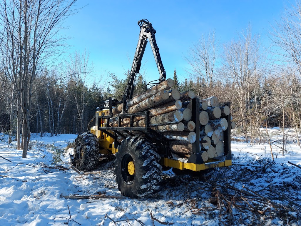 MacDonald Firewood & Tree Services | 906 NB-525, Sainte-Marie-de-Kent, NB E4S 2H5, Canada | Phone: (506) 233-9798