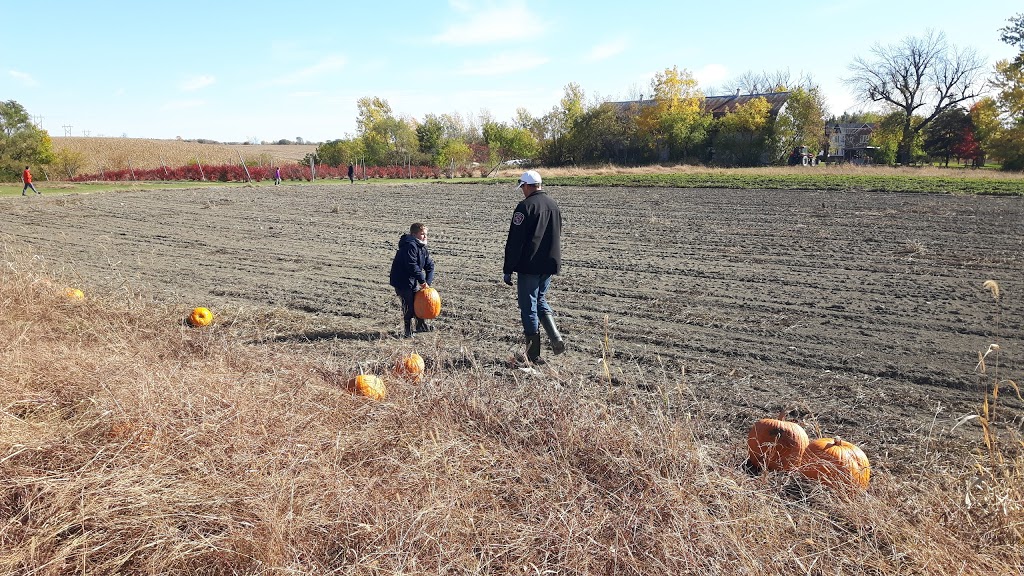 Les Jardins de Jacques | 2110 Chemin des Patriotes, Richelieu, QC J3L 6M3, Canada | Phone: (450) 658-5370