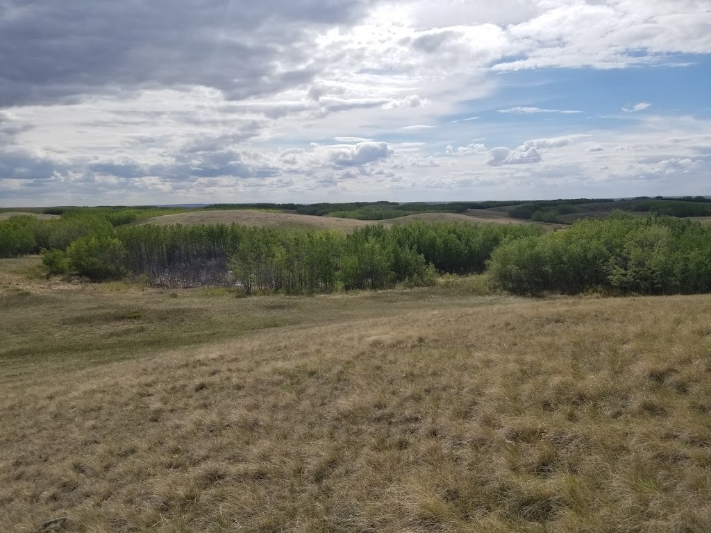 Antelope Hill Provincial Park | Unnamed Road, Hanna, AB T0J 1P0, Canada | Phone: (403) 340-7691