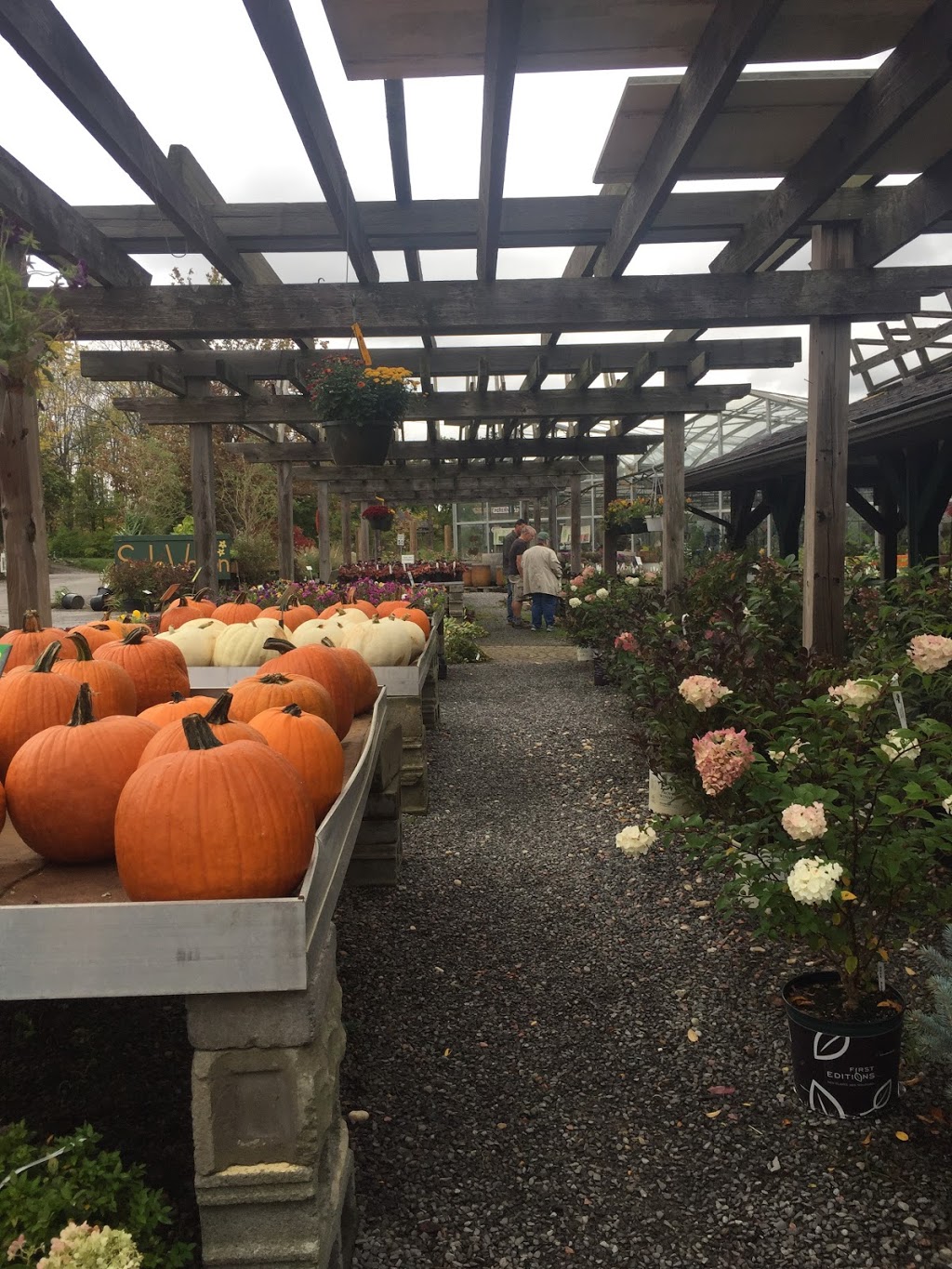 Murray Bros Nurseries and Garden Center | 4399 Transit Rd, Orchard Park, NY 14127, USA | Phone: (716) 662-3860