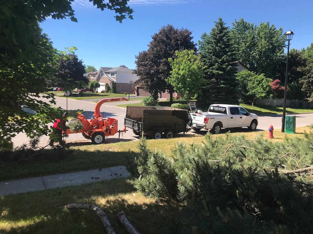 Twin Maples Tree Care | 767 Allan Ave, Newmarket, ON L3Y 1H7, Canada | Phone: (289) 221-5849